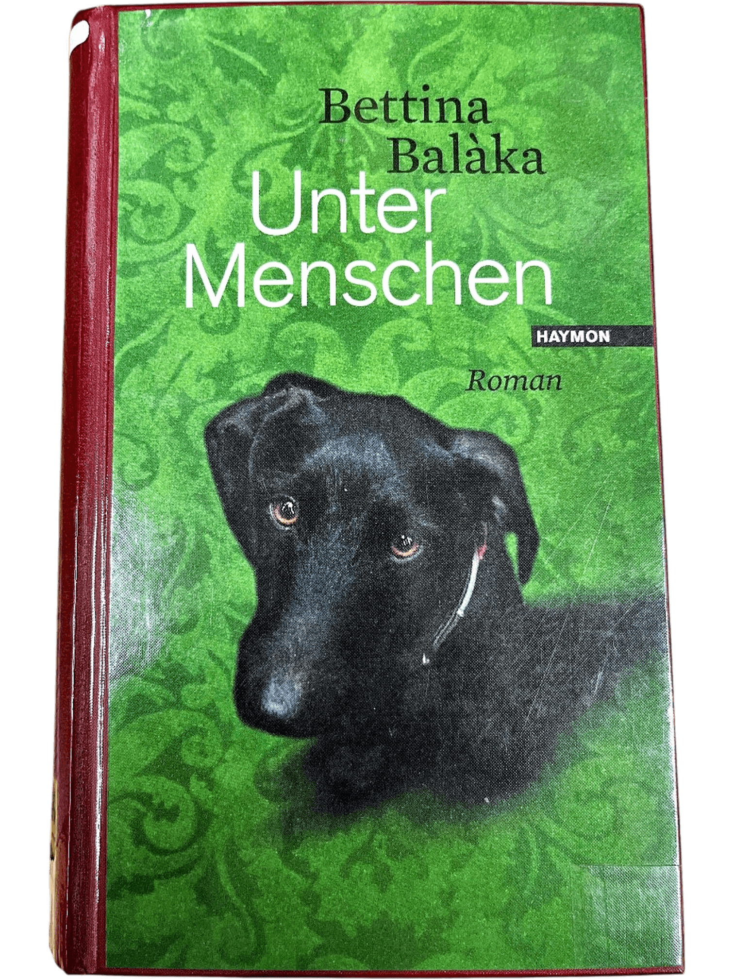 Roman 'Unter Menschen' von Bettina Balàka - Literarische Fiktion 1