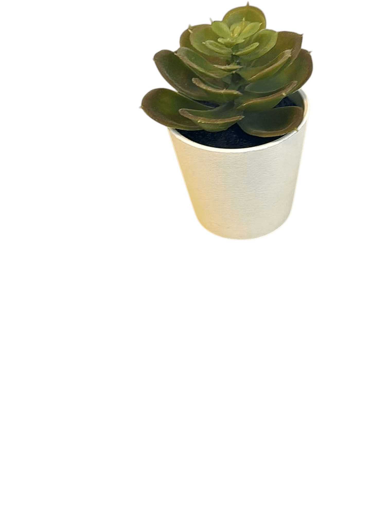 Artificial Succulent Plant in White Pot - Home Decor 1