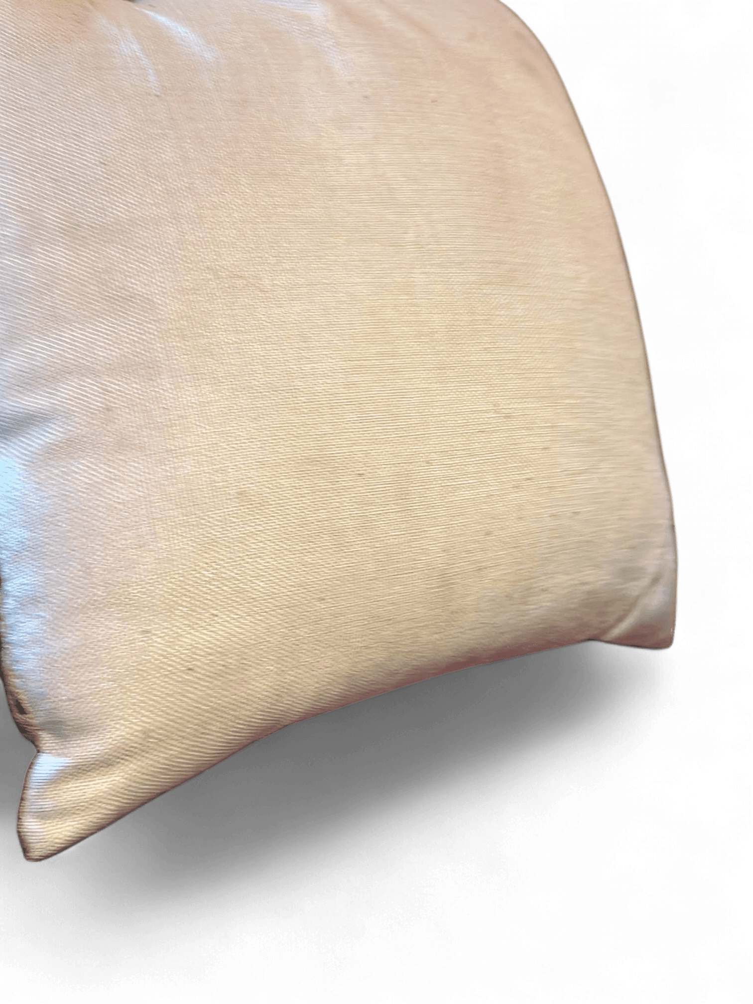 Tropical Print Decorative Throw Pillow with Monstera Leaf Design 2