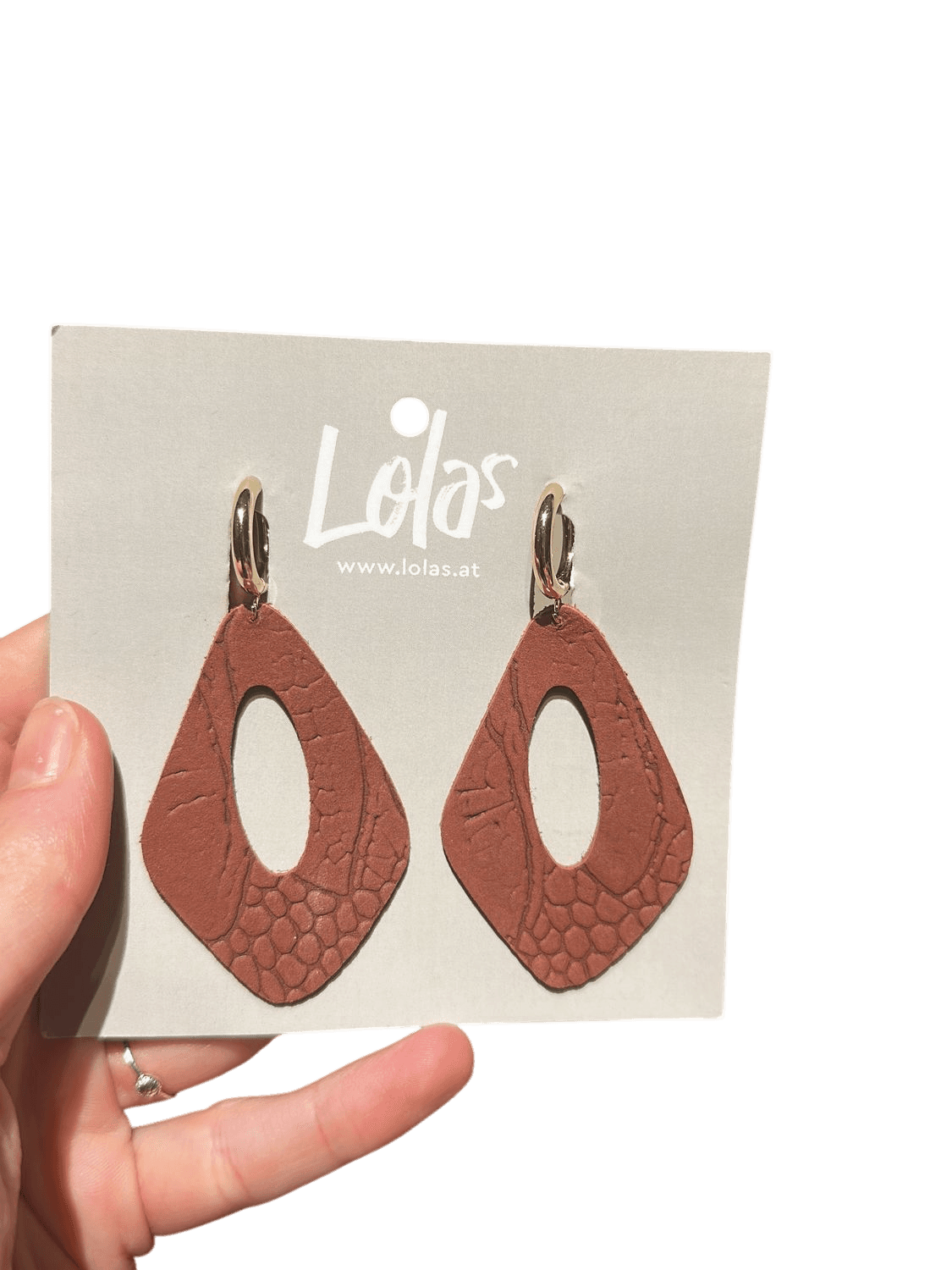 Lolas Brown Leather Geometric Earrings with Gold-Tone Hooks 1
