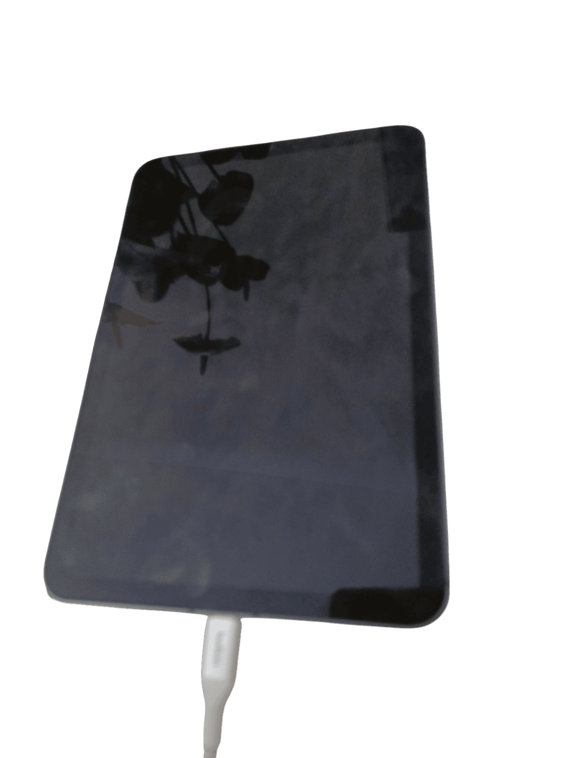 Apple iPad mini in Grey with Apple Pencil and Charging Cable 2