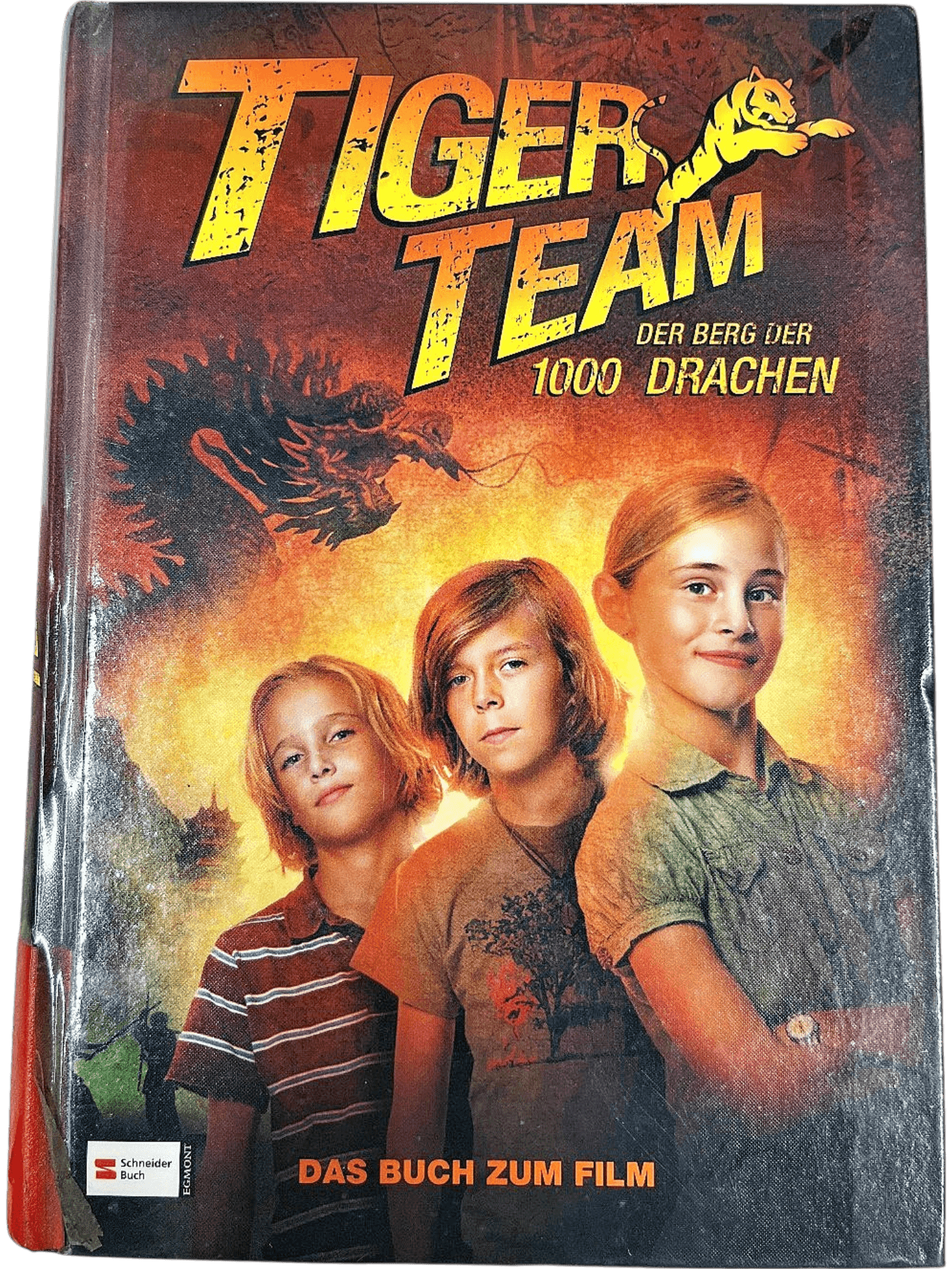 Tiger Team: Der Berg der 1000 Drachen 1