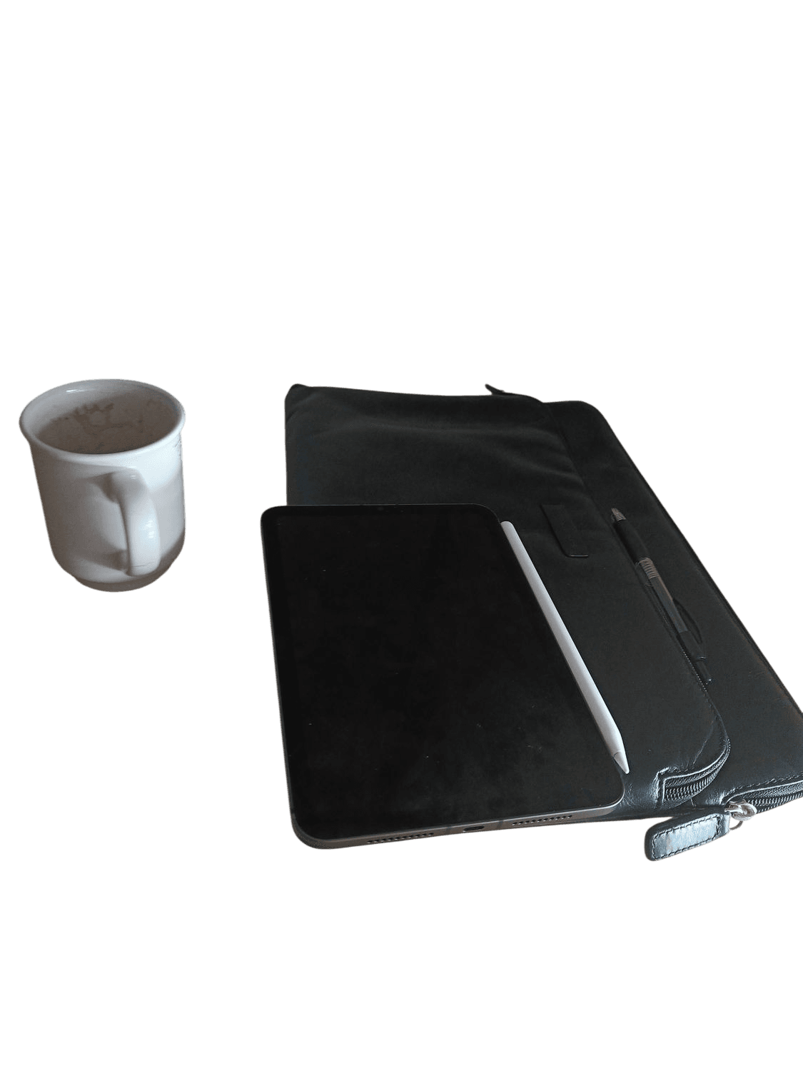 Apple iPad Mini with Stylus and Protective Case 2