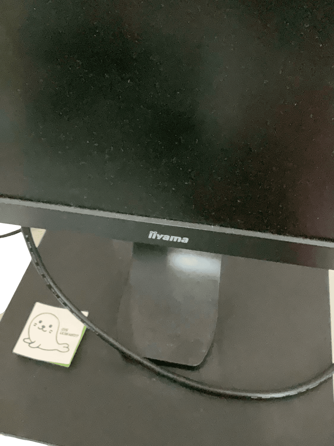 iiyama Computer Monitor - Black Desktop Display 2