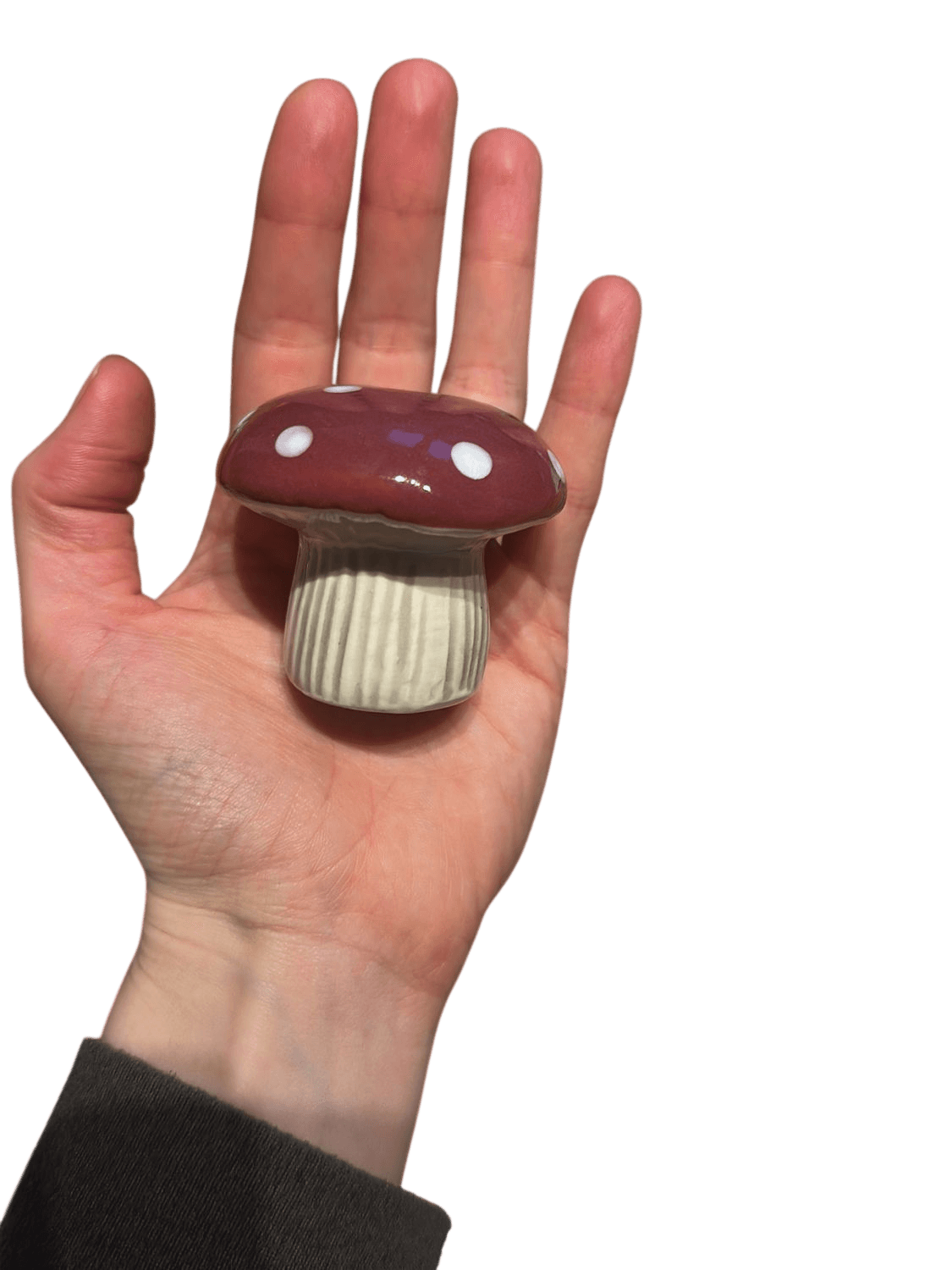 Cute Mushroom Salt and Pepper Shakers - burgundy and White Ceramic Set 2