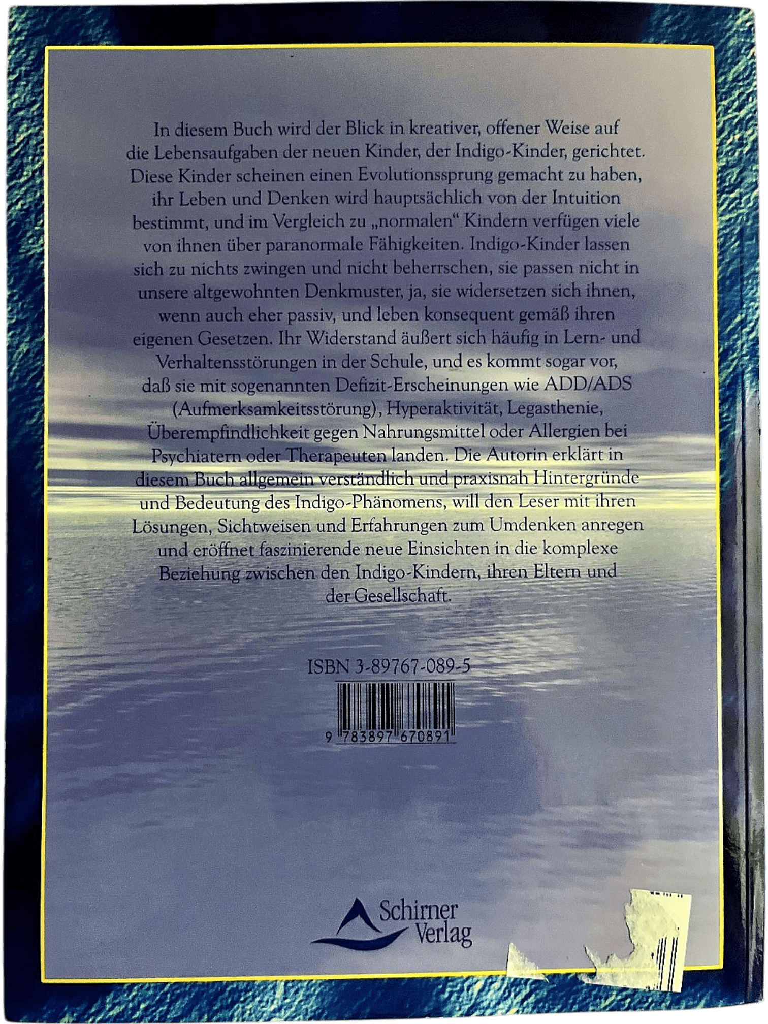 Das INDIGO-Phänomen - Buch von Carolina Hehenkamp 2