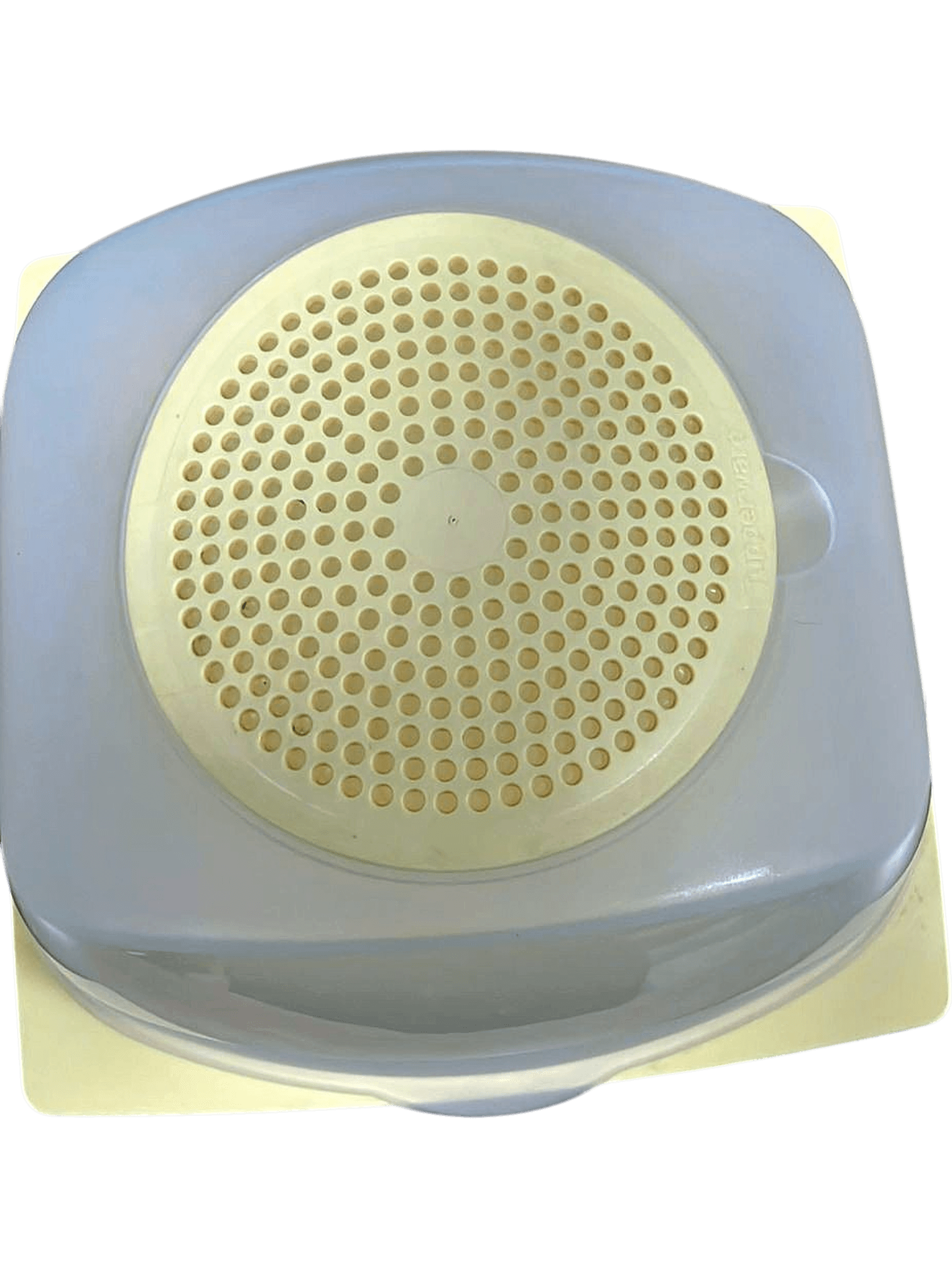 Käseglocke mit Teller in Gelb/Transparent - Kunststoff Aufbewahrungsbox 2