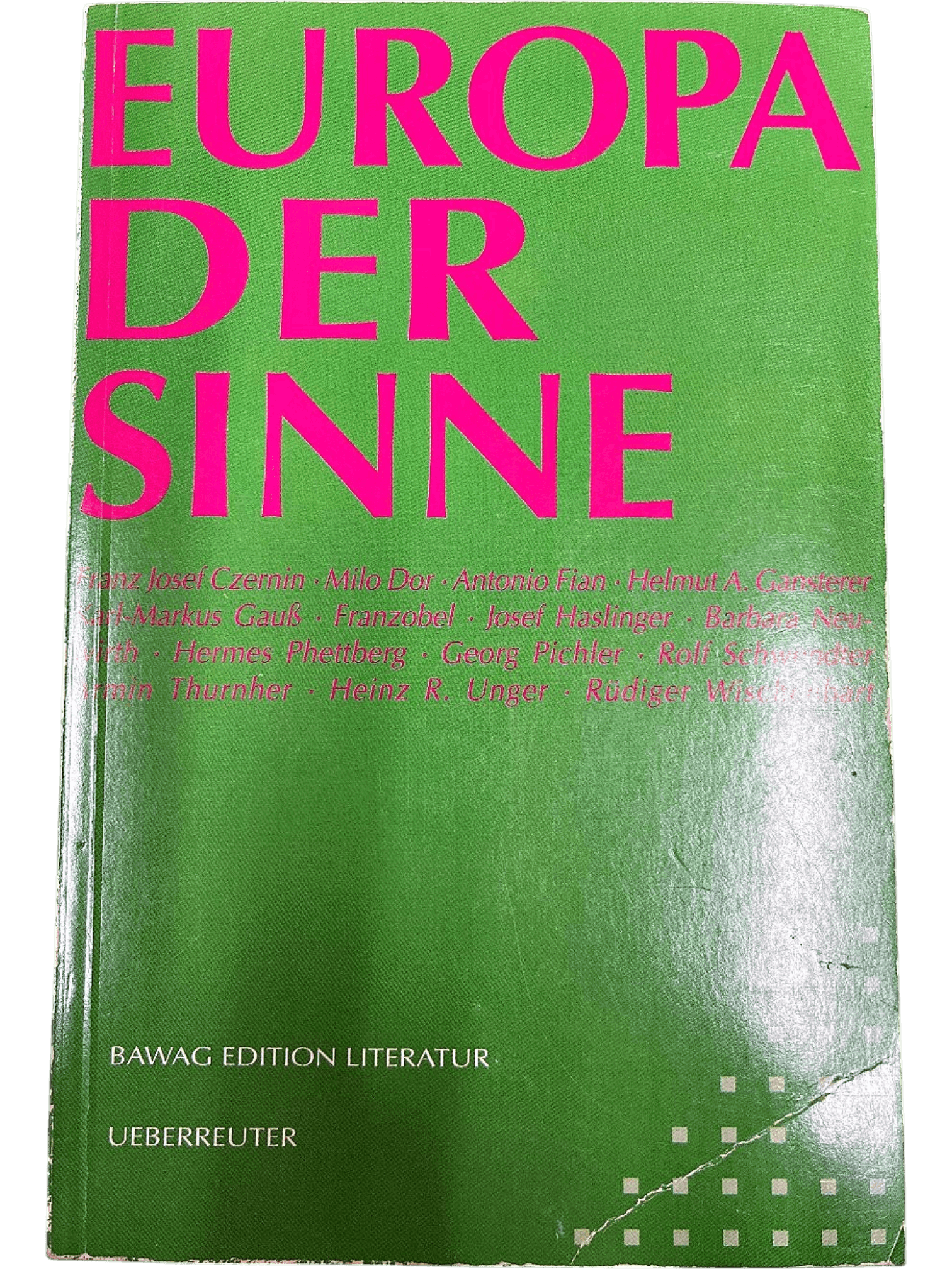 Europa der Sinne - Literarische Essaysammlung 1