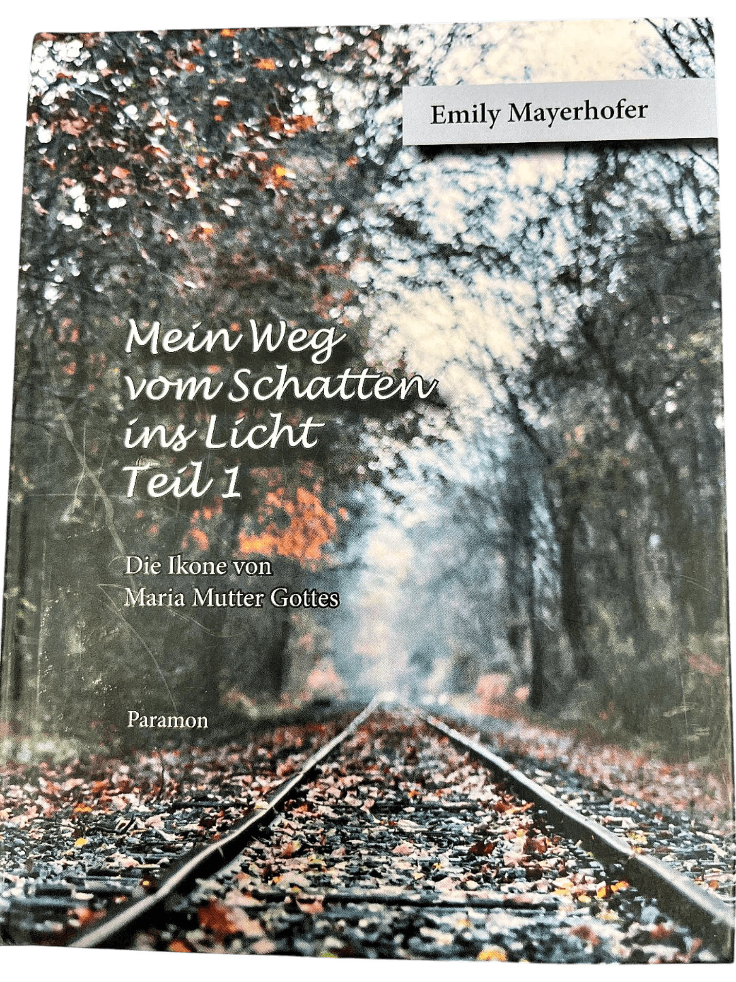 Mein Weg vom Schatten ins Licht - Teil 1 1