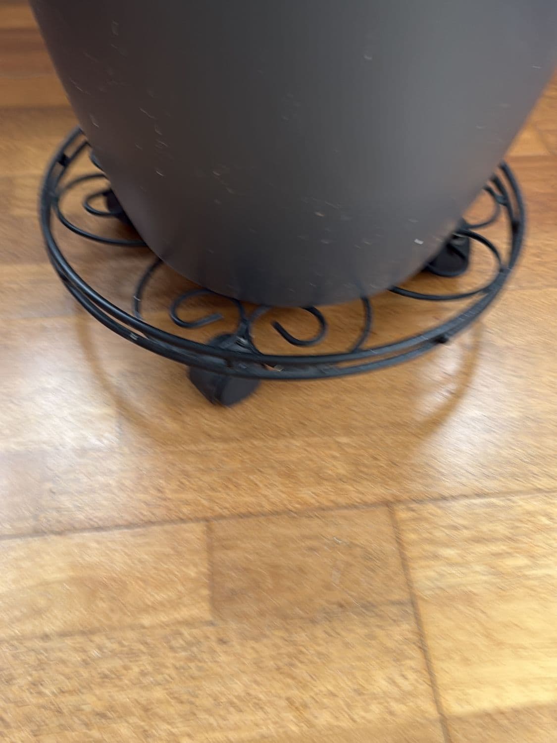 Large Indoor Ficus Tree with Grey Pot and Decorative Metal Stand 12