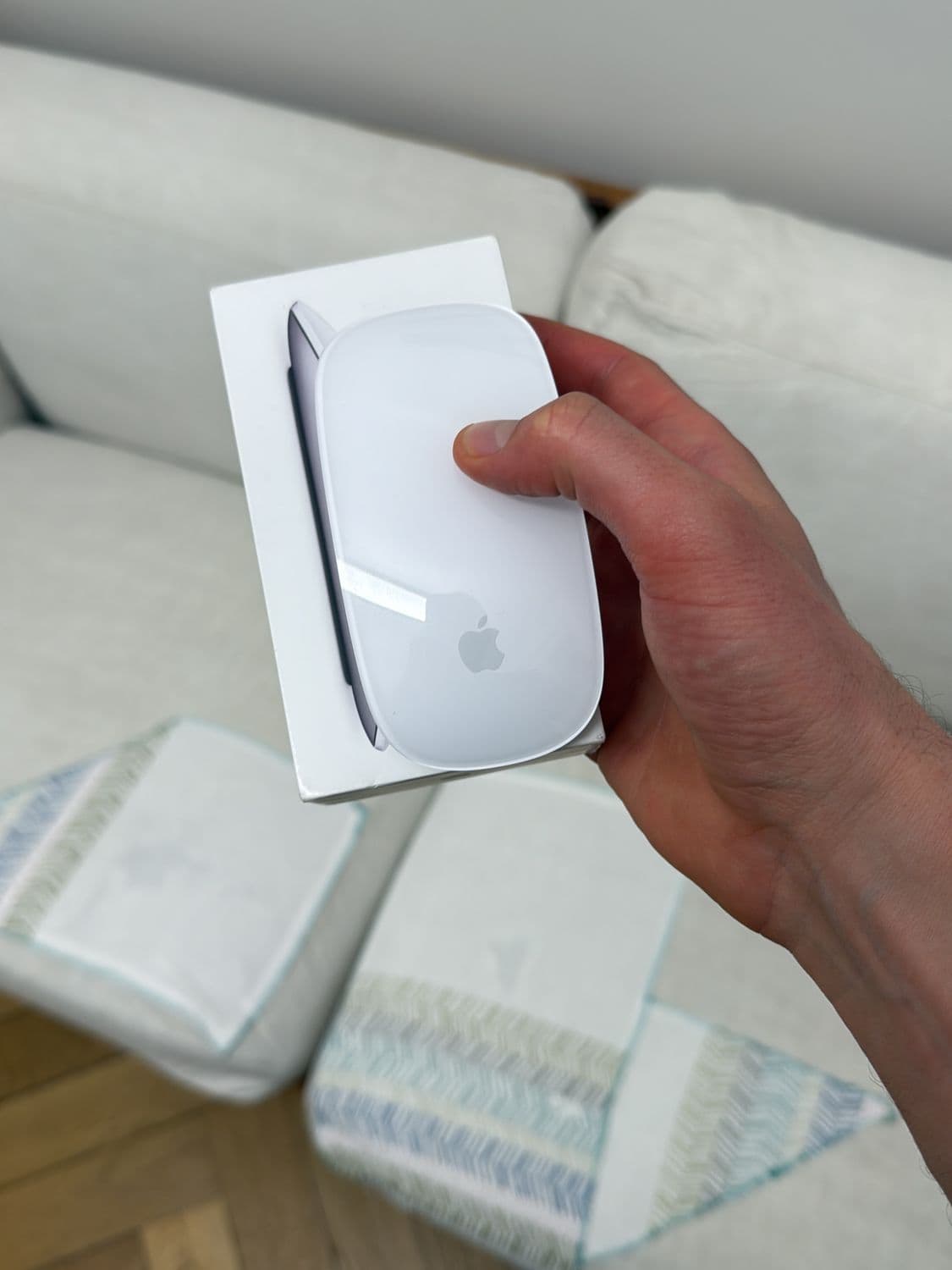 Apple Magic Mouse - Silver/White with Original Box